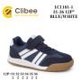 Кросівки дитячі Clibee LC1181-1 blue-white 31-36