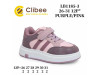 Кроссовки детские Clibee LB1185-3 purple-pink 26-31, Фото 4
