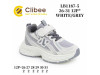 Кроссовки детские Clibee LB1187-5 white-grey 26-31, Фото 4