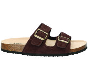 Шльопанці American Club RL CY 154 коричневий 41-45