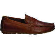 Туфлі ШКІРА American Club CY 193 коричневий 41-45