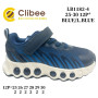 Кросівки дитячі Clibee LB1182-4 blue-l.blue 25-30