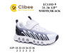 Кросівки дитячі Clibee LC1183-9 white-black 31-36, Фото 4