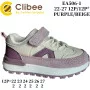 Кросівки дитячі Clibee EA506 purple-beige 22-27