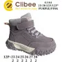 Черевики дитячі Clibee GA84 purple-pink 23-28