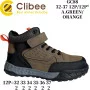 Черевики дитячі Clibee GC88 a.green-orange 32-37